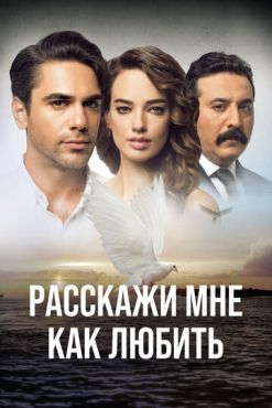 Расскажи мне, как любить (2016)